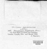 Image Associated With the Occurence